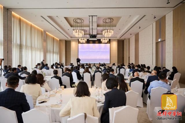 中国经济和人民币资本市场国际合作论坛在迪拜举行