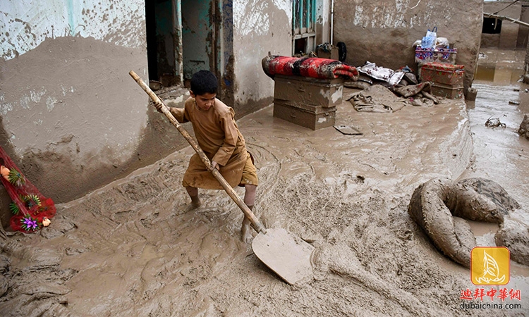 阿富汗暴雨引发洪灾，已至330多人遇难！阿联酋外交部发...