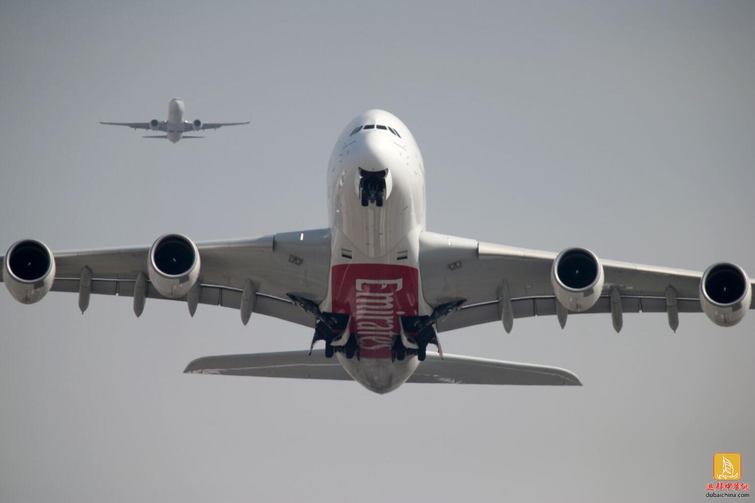 阿联酋航空迪拜飞往孟买的航班在着陆前遭遇鸟击，可能...
