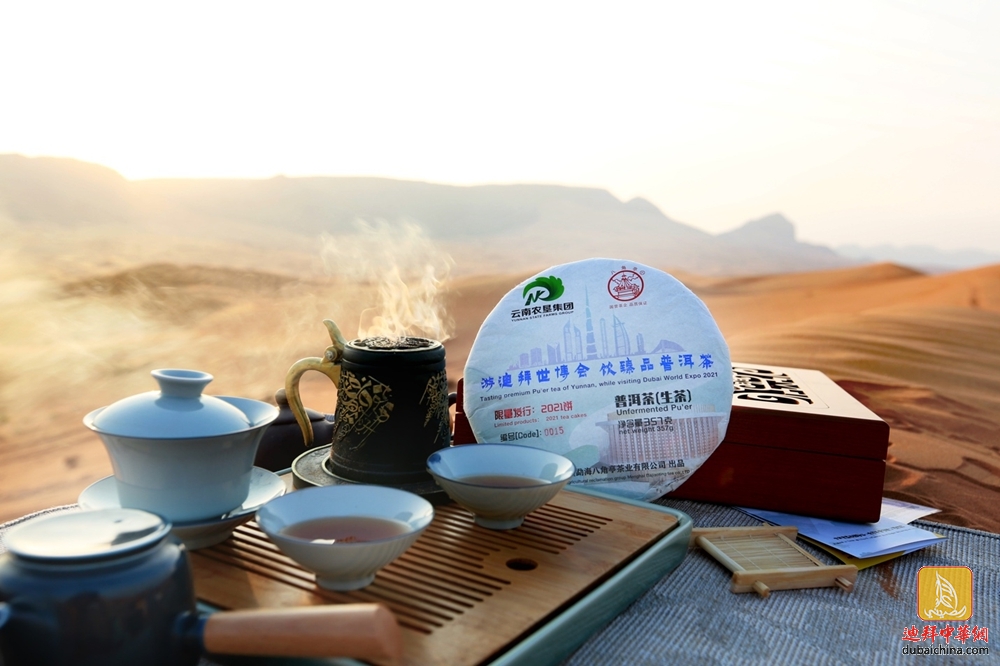 迪拜世博最佳伴手礼普洱茶，一起来薅羊毛，手速！