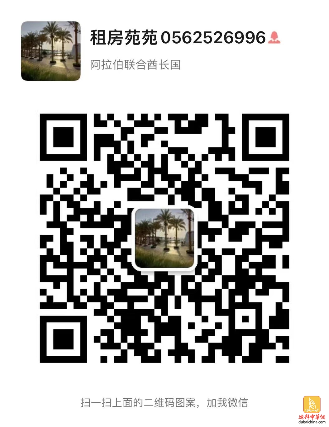 迪拜租房 长租 短租 日租 月租 房东直租
