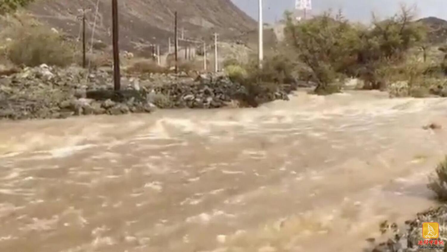 暴雨导致洪水泛滥，一阿联酋男子开车前往山谷，不幸