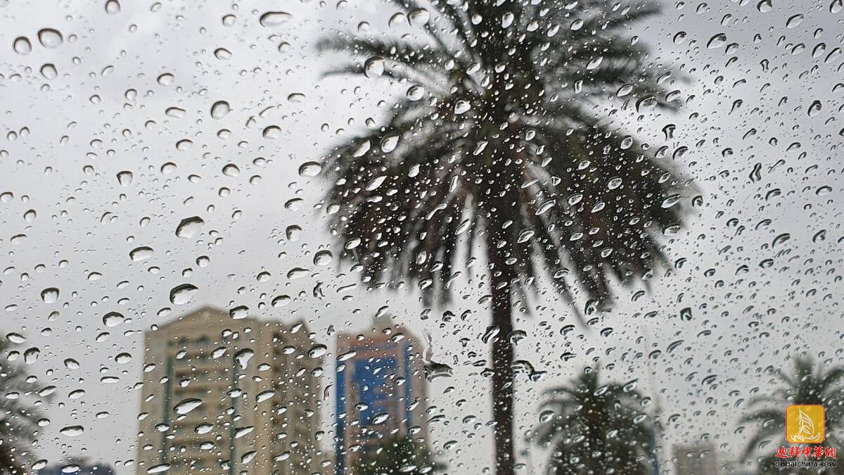 迪拜降雨导致水污染？一些居民上吐下泻，当局称没有发...