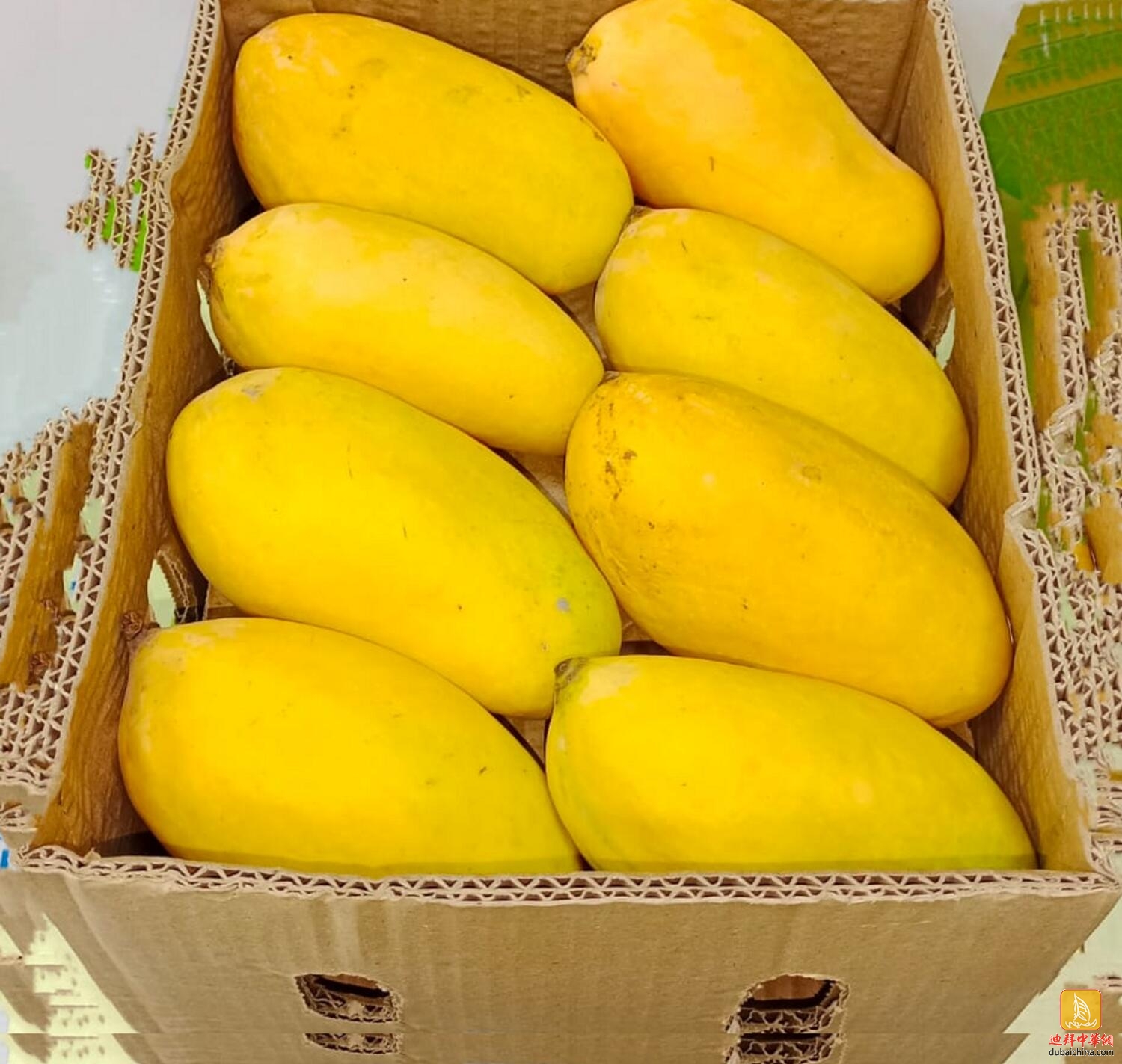 巴基斯坦芒果运抵阿联酋，今年的芒果便宜吗？