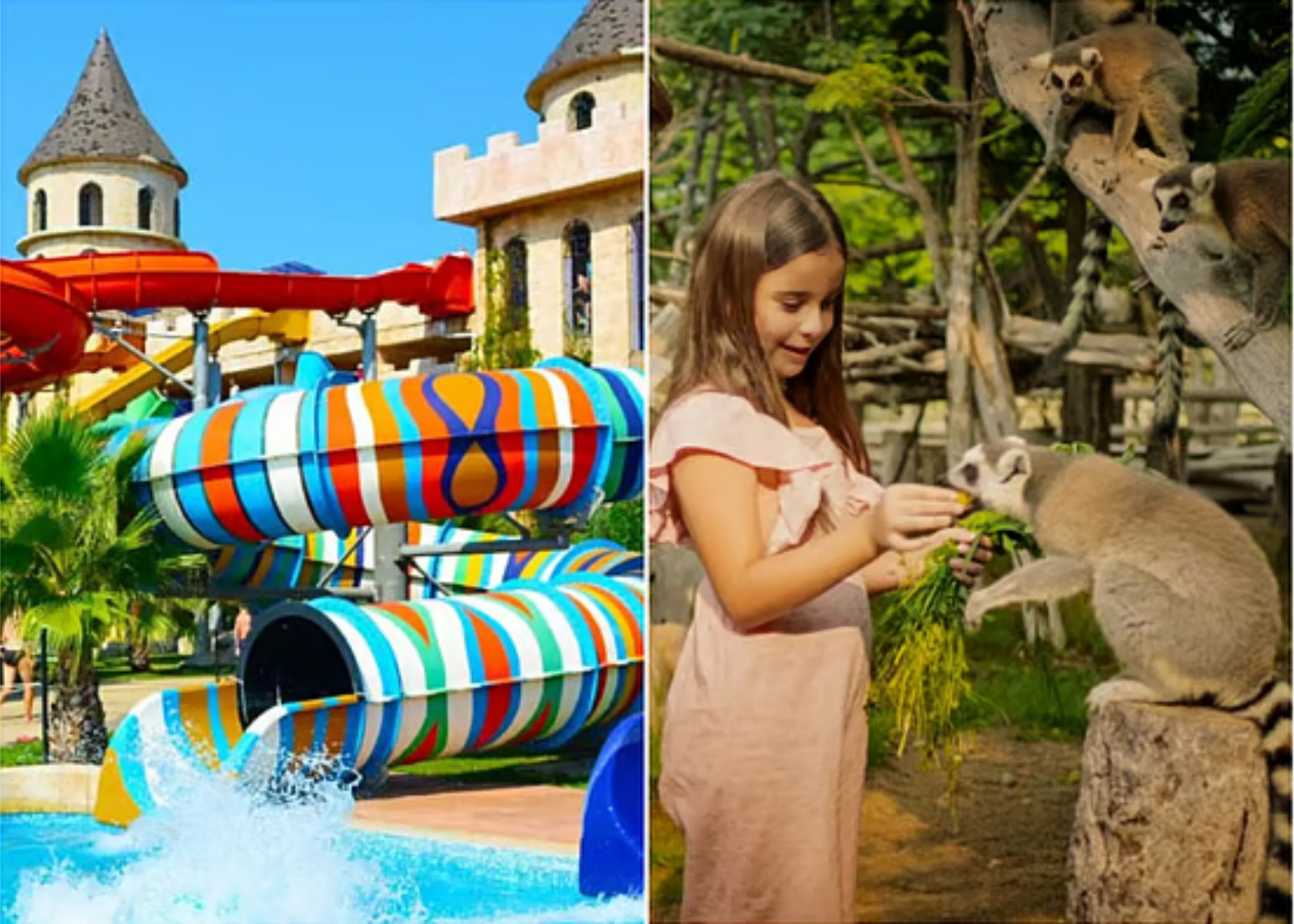 阿联酋国庆长假收官福利！八大热门景点推出限时优惠