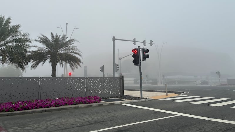 阿联酋发布大雾预警！此前大雾致迪拜进港航班取消