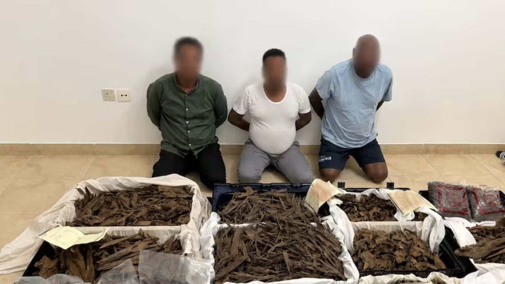 假扮公主设局盗走千万迪拉姆沉香 迪拜警方速抓四人并发...