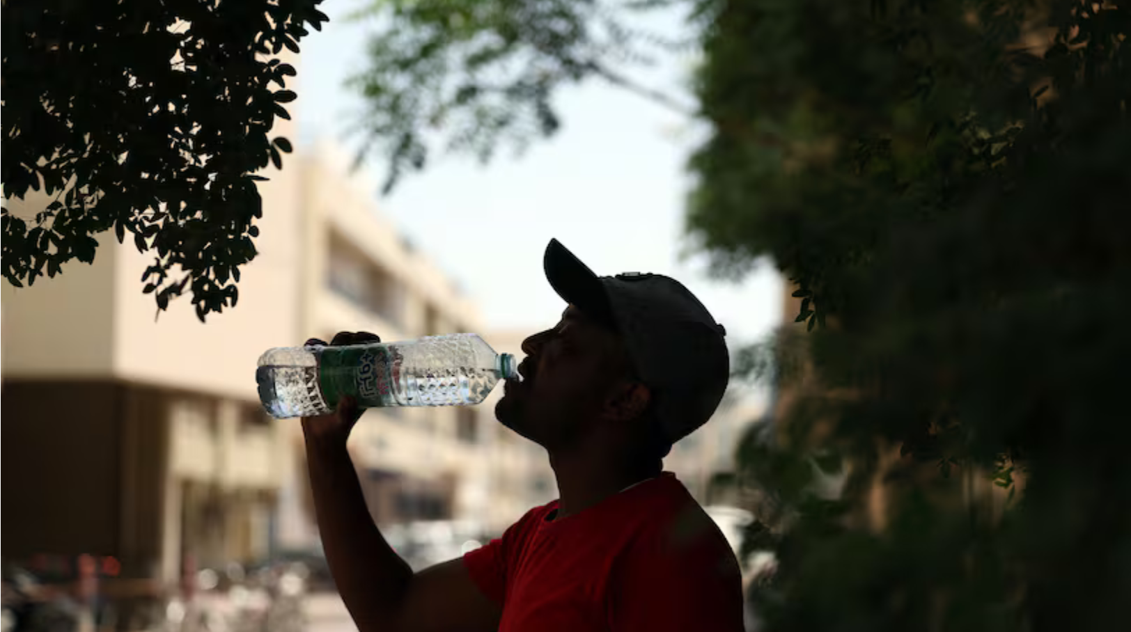 阿联酋本周最高气温将达到48°C