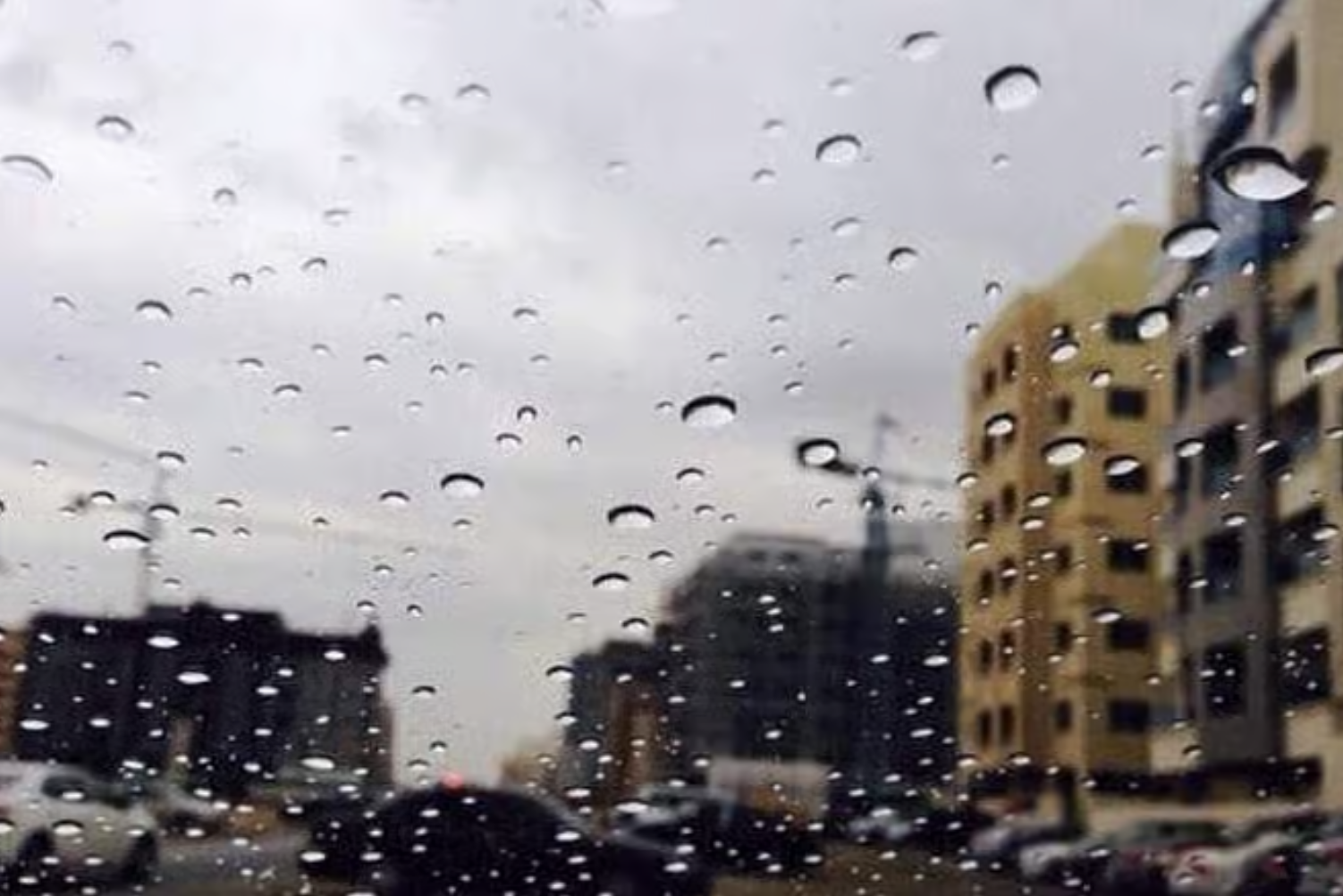 迪拜本周可能迎来降雨