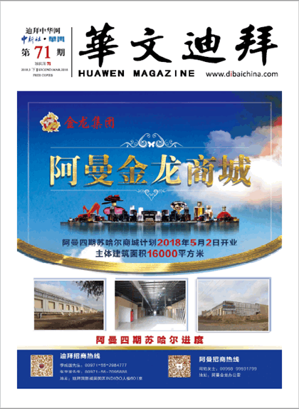 华文迪拜杂志